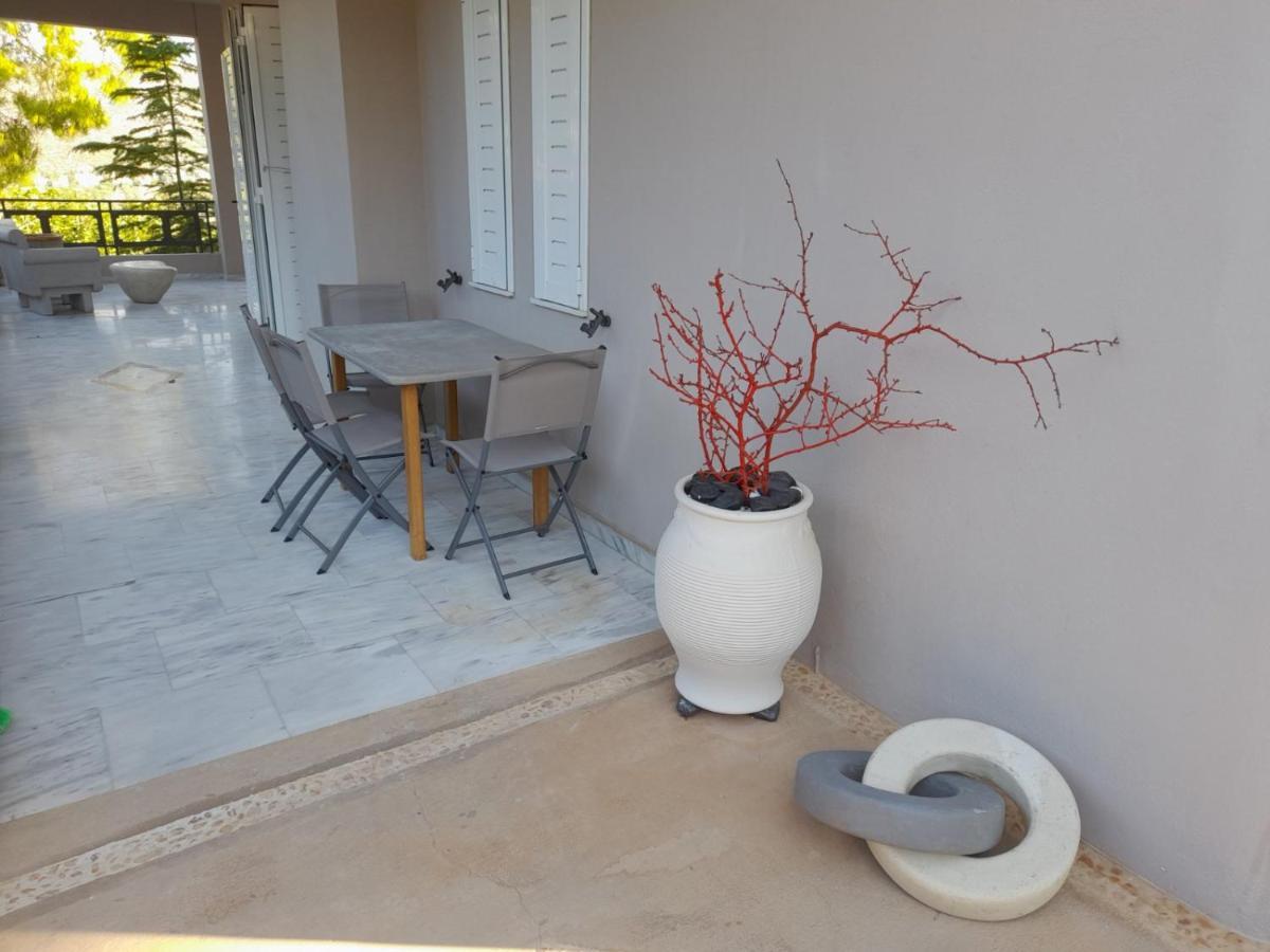 Suite With Garden Agia Marina  Extérieur photo